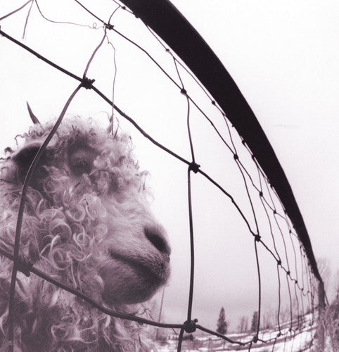 Picture of the Music Record - PEARL JAM / VS by Pearl Jam