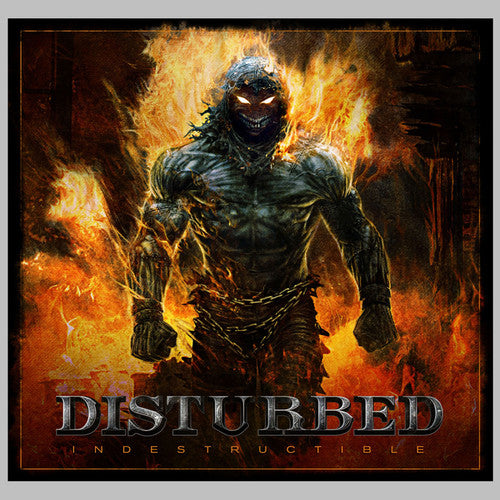Picture of the Music Record - Indestructible by Disturbed