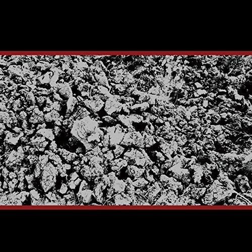 Image of the Music Record - Half Past Present Pending by Mike Coykendall