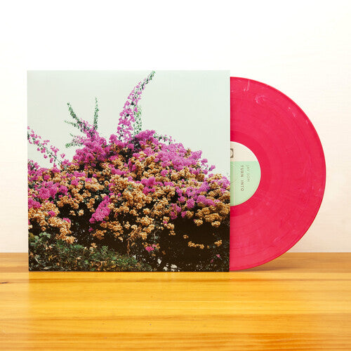 Picture of the Music Record - Turn Into by Jay Som