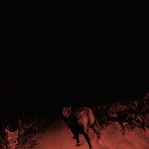 Picture of the Music Record - Shadow On Everything by Bambara