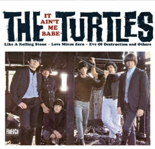 Picture of the Music Record - It Ain't Me Babe by The Turtles