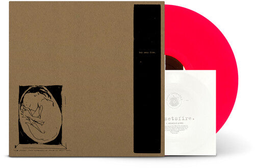 Picture of the Music Record - This Crying, This Screaming, My Voice Is Being Born by Boysetsfire