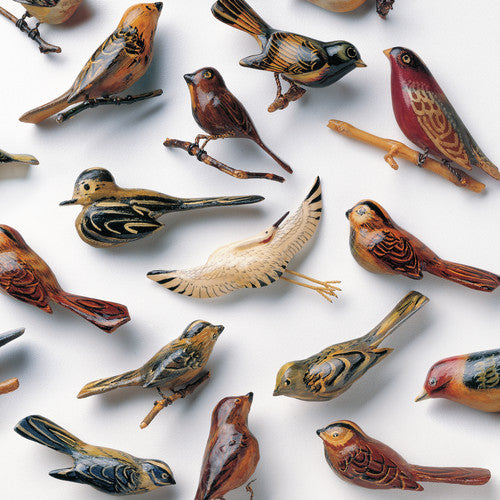 Picture of the Music Record - Omoiyari by Kishi Bashi