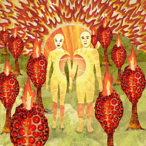 Picture of the Music Record - The Sunlandic Twins by Of Montreal