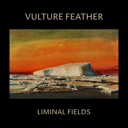 Picture of the Music Record - Vulture Feather - Bone by Vulture Feather
