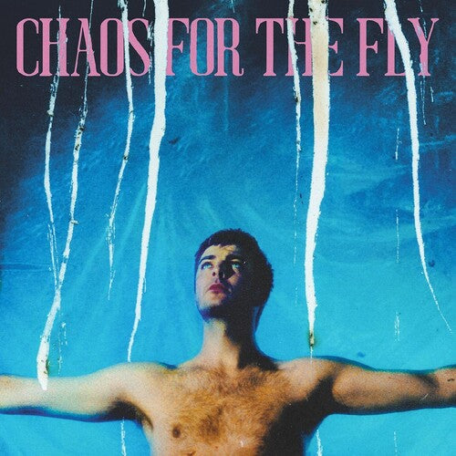 Picture of the Music Record - Chaos For The Fly by Grian Chatten