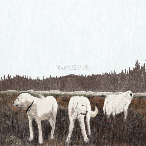 Picture of the Music Record - The Albatross: Ten Years by Foxing