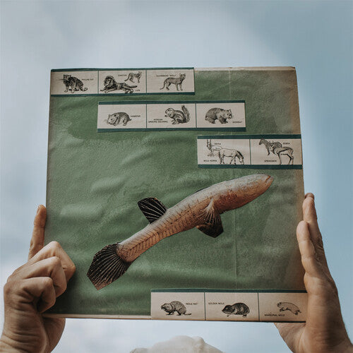 Picture of the Music Record - The River Strumming by Cotton Jones