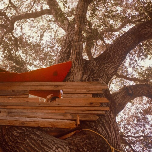 Image of the Music Record - Waiting To Spill (Anniversary Edition) by Backseat Lovers