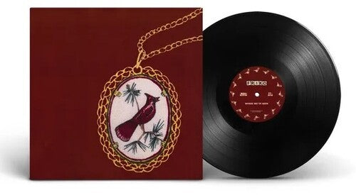 Picture of the Music Record - Where We've Been, Where We Go From Here by Friko