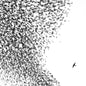 Picture of the Music Record - Sky Blue Sky by Wilco