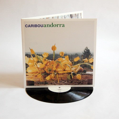 Picture of the Music Record - Andorra by Caribou