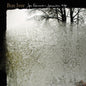 Picture of the Music Record - For Emma Forever Ago by Bon Iver