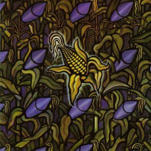 Picture of the Music Record - Against the Grain by Bad Religion