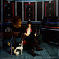 Picture of the Music Record - Phrazes for the Young by Julian Casablancas