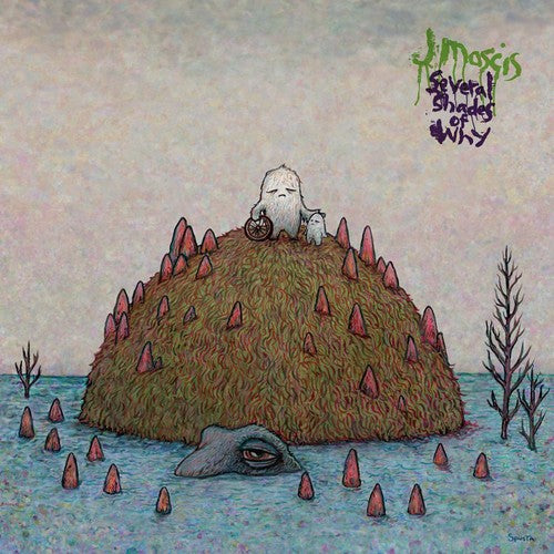 Picture of the Music Record - Several Shades of Why by J Mascis