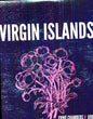 Image of the Music Record - Ernie Chambers v. God by Virgin Islands