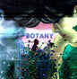 Image of the Music Record - Feeling Today by Botany