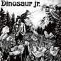 Picture of the Music Record - Dinosaur Jr. by Dinosaur Jr.