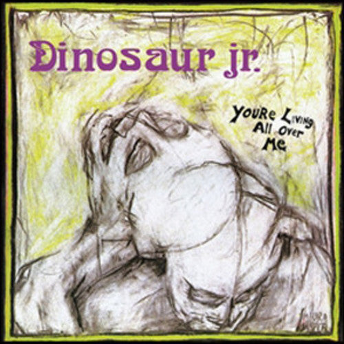 Picture of the Music Record - You're Living All Over Me by Dinosaur Jr.