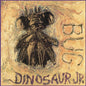 Picture of the Music Record - Bug by Dinosaur Jr.