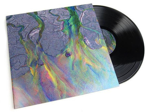 Picture of the Music Record - An Awesome Wave by Alt-J