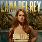 Picture of the Music Record - Born to Die: The Paradise Edition [Import] by Lana Del Rey