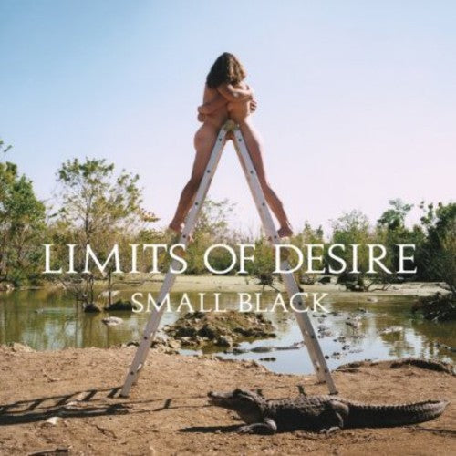 Image of the Music Record - Limits of Desire by Small Black