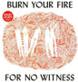 Picture of the Music Record - Burn Your Fire for No Witness by Angel Olsen
