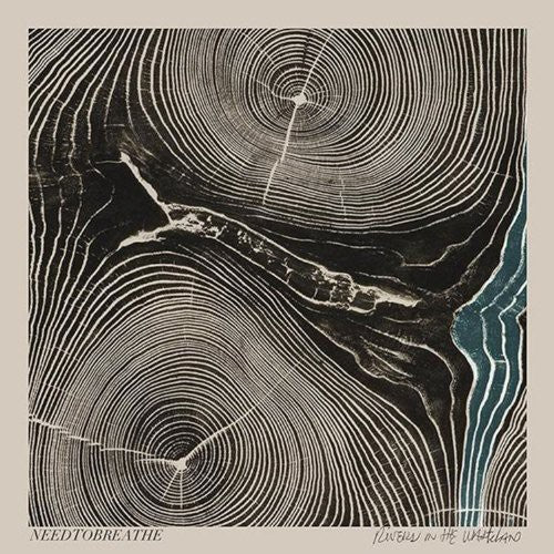 Picture of the Music Record - Rivers in the Wasteland by Needtobreathe
