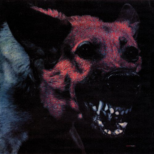 Picture of the Music Record - Under Color of Official Right by Protomartyr