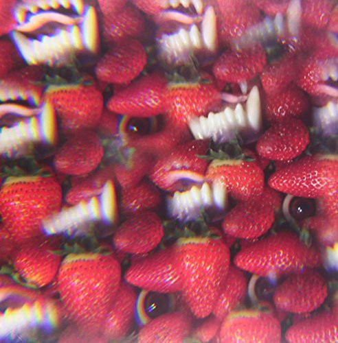 Picture of the Music Record - Floating Coffin by Thee Oh Sees