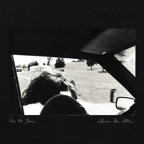 Picture of the Music Record - Are We There by Sharon Van Etten