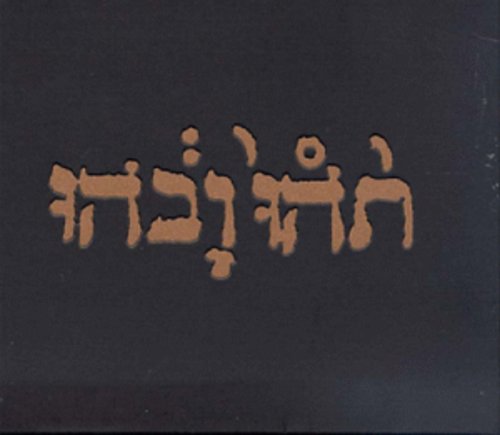 Picture of the Music Record - Slow Riot for New Zero Kanada by Godspeed You! Black Emperor