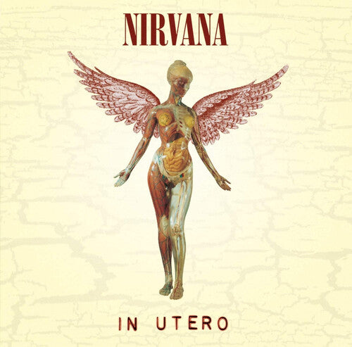 Picture of the Music Record - In Utero by Nirvana