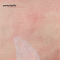 Picture of the Music Record - Summer of the Shark by Portastatic