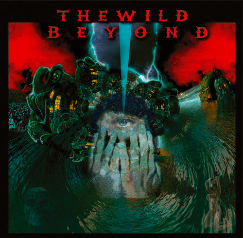 Picture of the Music Record - Wild Beyond by Wild Beyond