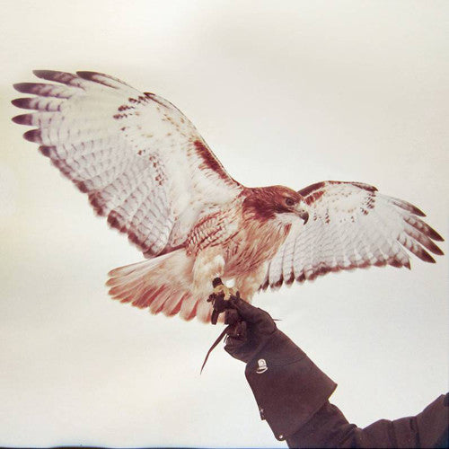 Image of the Music Record - Wild Birds by Jm Airis