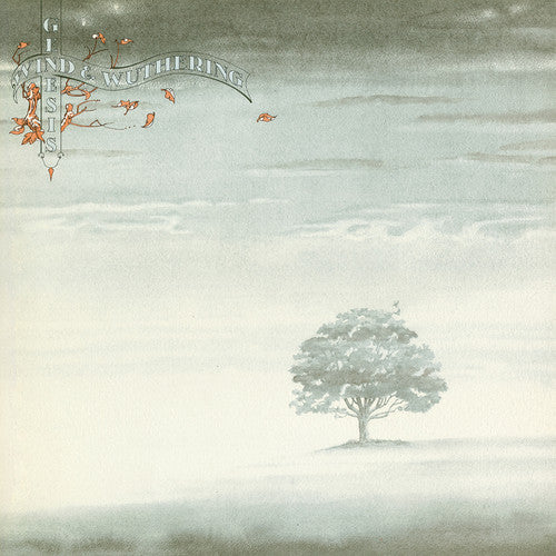 Picture of the Music Record - Wind & Wuthering by Genesis