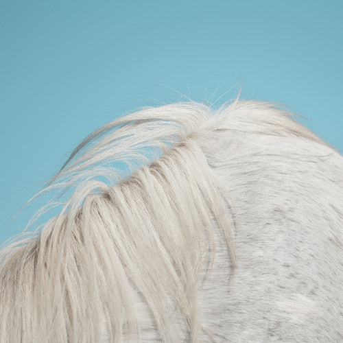 Picture of the Music Record - All Yours by Widowspeak