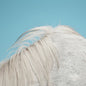 Picture of the Music Record - All Yours by Widowspeak