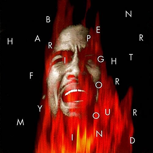 Picture of the Music Record - Fight for Your Mind by Ben Harper