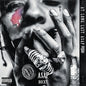 Picture of the Music Record - At.Long.Last.A$AP [Explicit Content] by A$AP Rocky