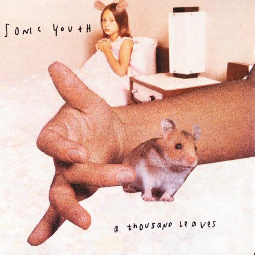 Image of the Music Record - A Thousand Leaves by Sonic Youth