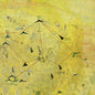 Picture of the Music Record - The Golden Lion by The Besnard Lakes