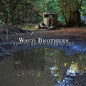 Picture of the Music Record - Going Down In History by Waco Brothers