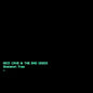 Picture of the Music Record - Skeleton Tree by Nick Cave & Bad Seeds
