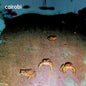 Picture of the Music Record - Cairobi by Cairobi