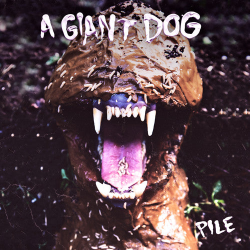 Picture of the Music Record - Pile by Giant Dog
